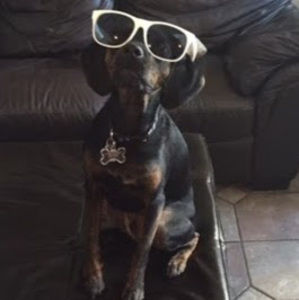 Meet your Posher, Christal